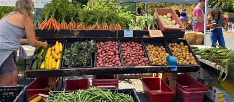 Portland Farmer's Market