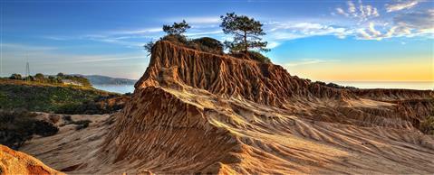 Torrey Pines State Reserve