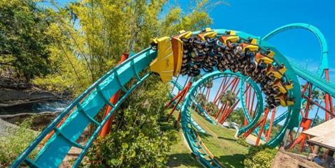 Busch Gardens Tampa