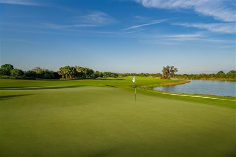 The Ritz-Carlton Golf Club