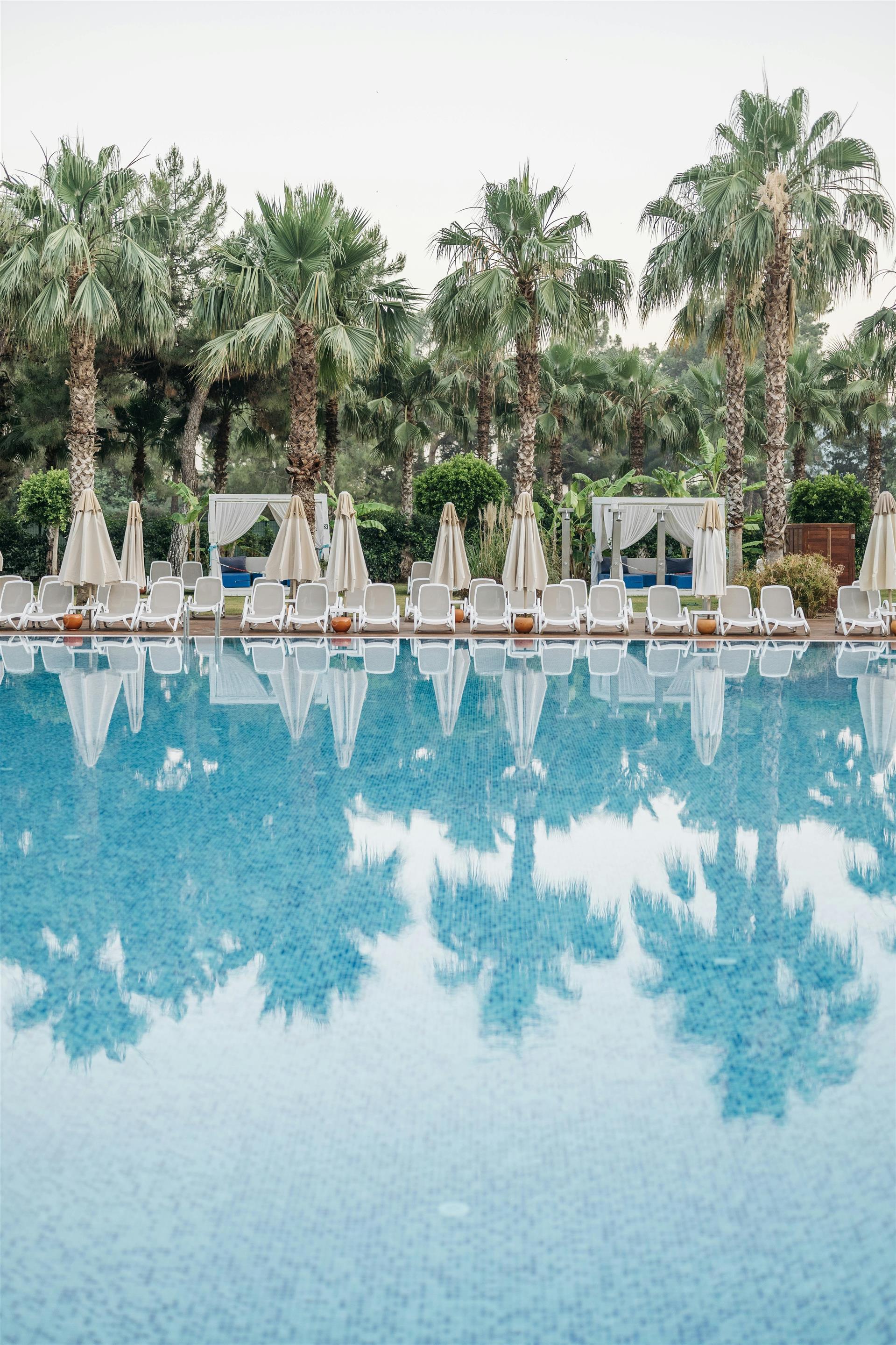 Test - Ricardo Resort image