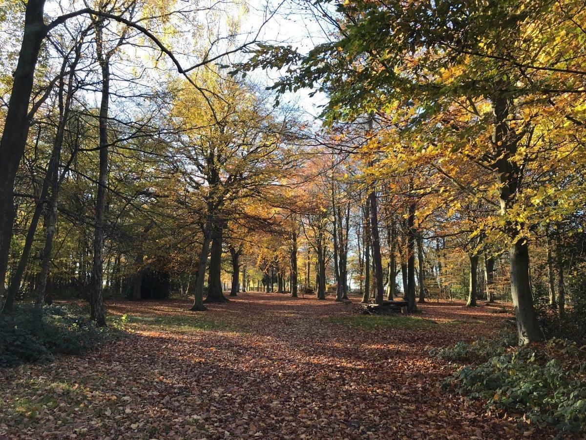 Изображение места проведения