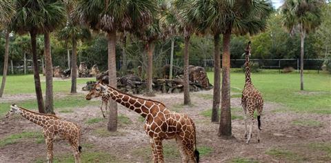 Jacksonville Zoo and Gardens