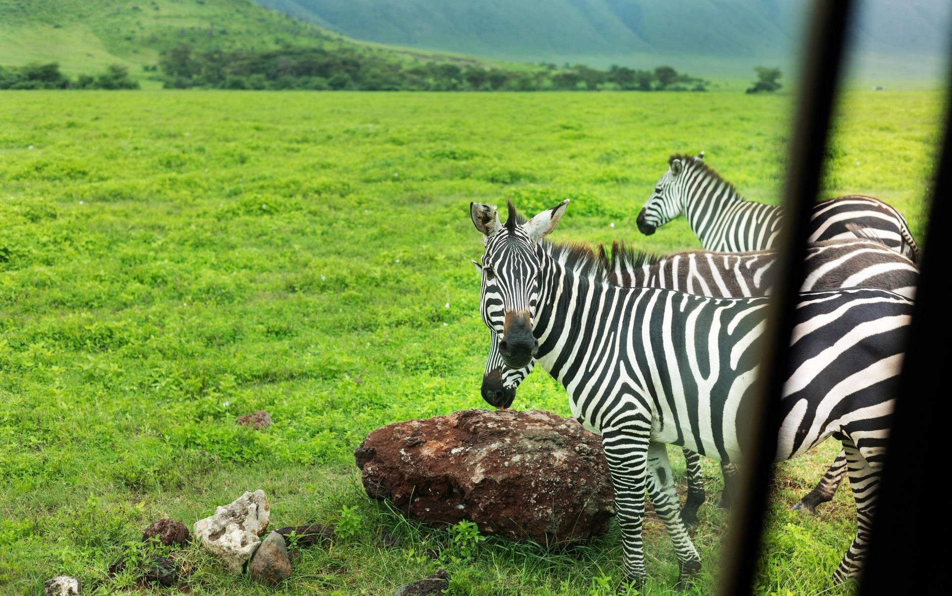 Изображение Incentive Trip to Tanzania!!