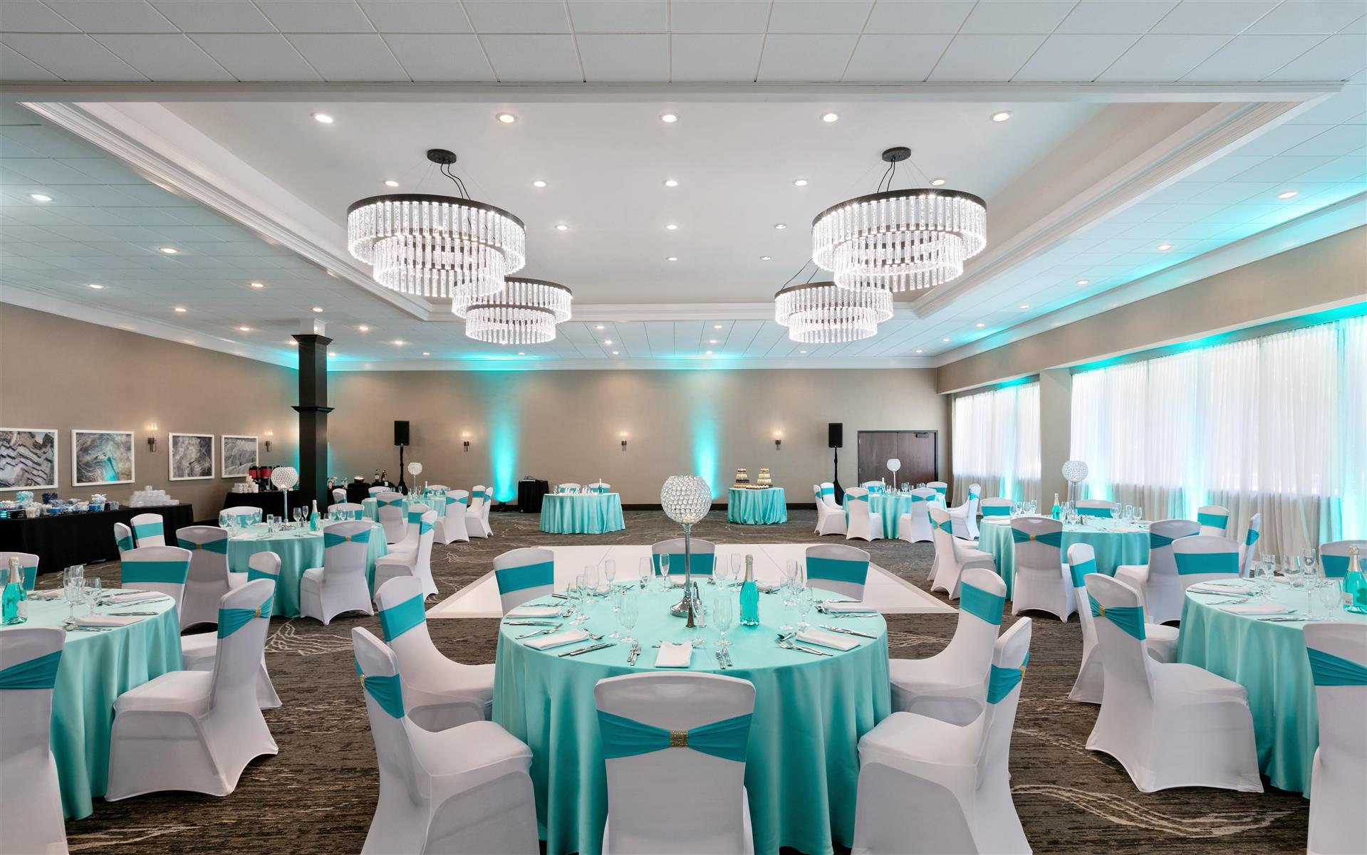 Immagine Tie the Knot in ’26”