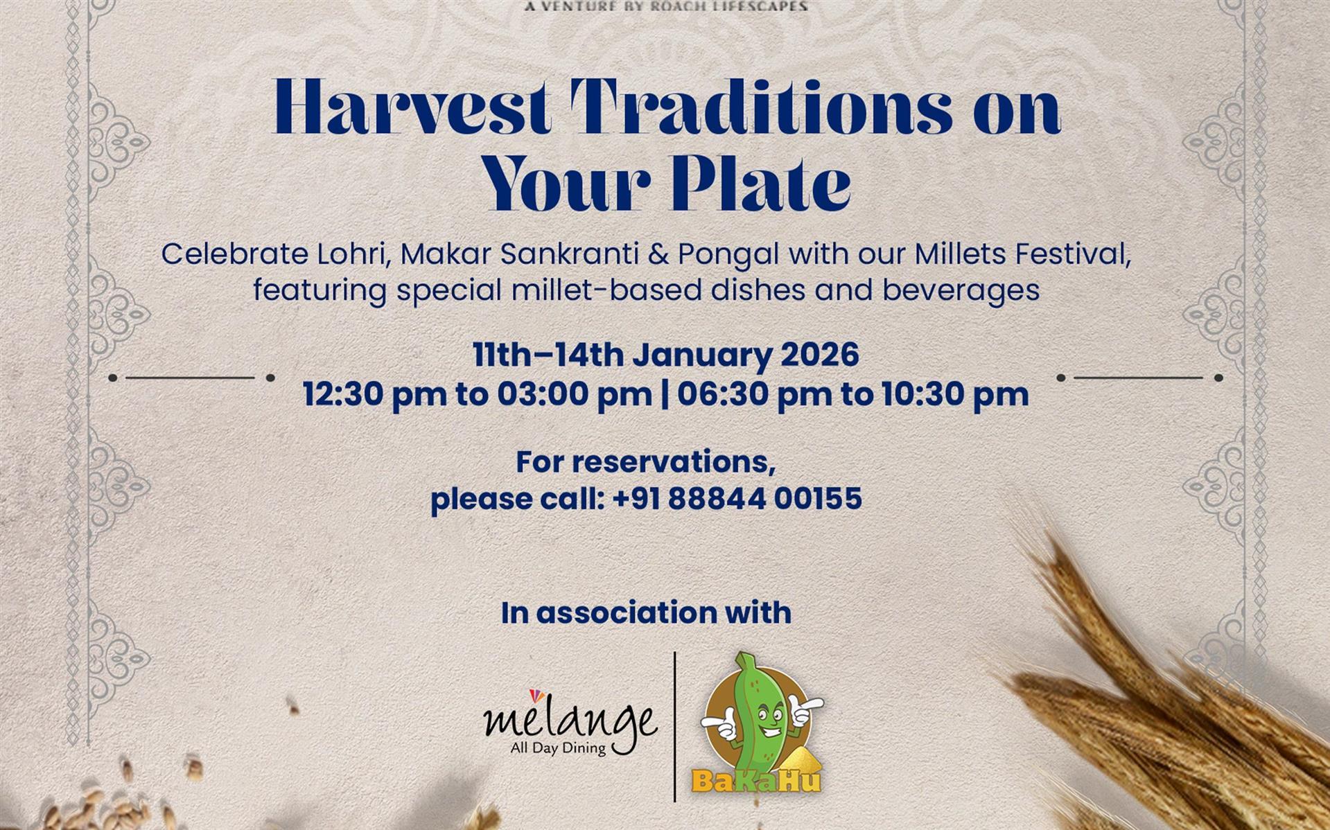 Harvest Traditions on your Plate image