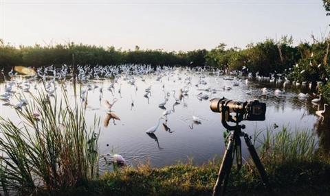 Santuario degli uccelli di Surajpur