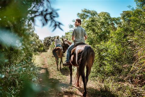Ironwoods Ranch Horseback Riding