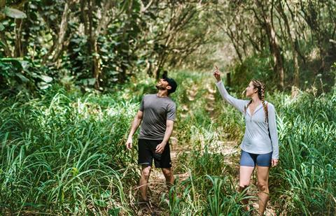 Kapalua Walking & Hiking Trails