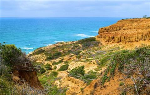 Torrey Pines State Natural Reserve