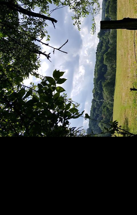 Ruta de senderismo de Eifelsteig