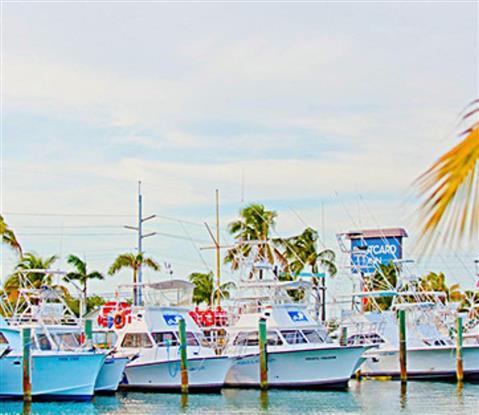 Alquiler de barcos Postcard Inn