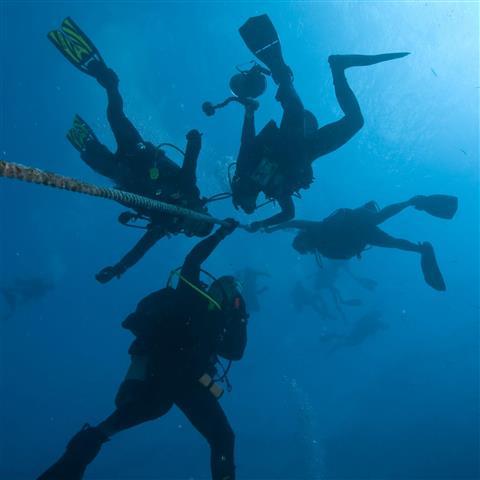 Centro de buceo Islamorada