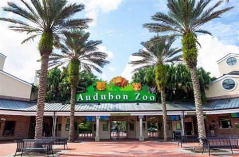 Audubon Zoo