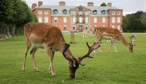 Dunham Massey