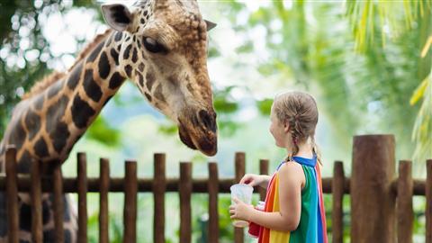 シンガポール動物園