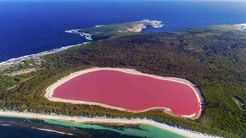 Pink Lake