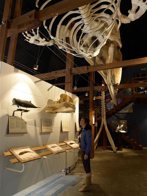 Museo delle Montagne Rocciose