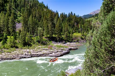 Rafting sulle rapide del Montana
