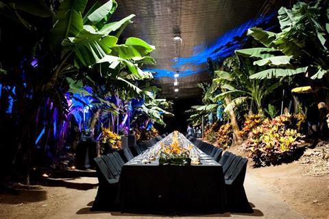 Banana Plantation - Offsite Event Venue