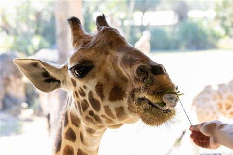 Jacksonville Zoo & Gardens