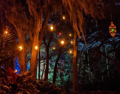 Jacksonville Arboretum & Gardens