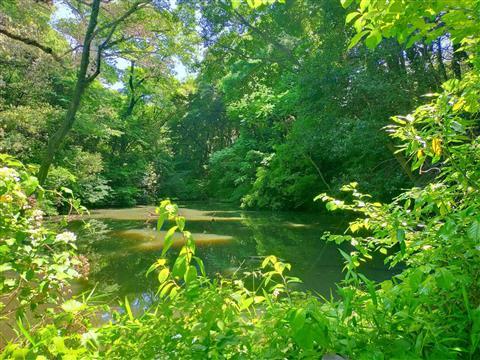 Institute for Nature Study