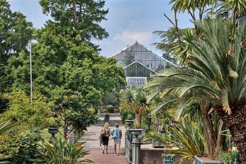 Hortus Botanicus