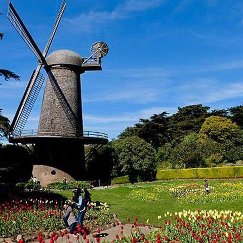 Golden Gate Park