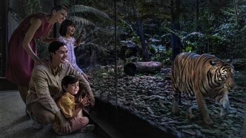 夜間野生動物園