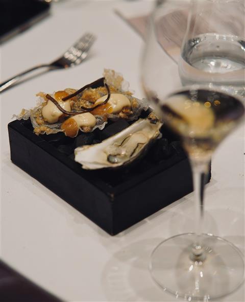 Curated Wine & Oyster Tasting