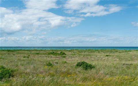 Monomoy National Wildlife Refuge