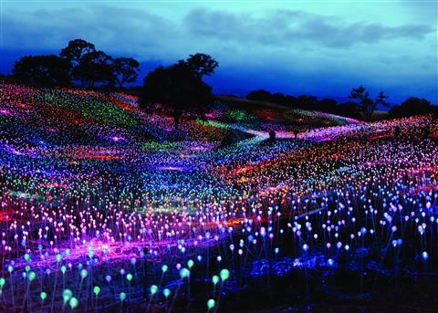 Campo de luces sensorio