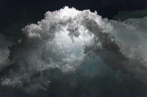 Volcano Sponge of McMurdo Sound