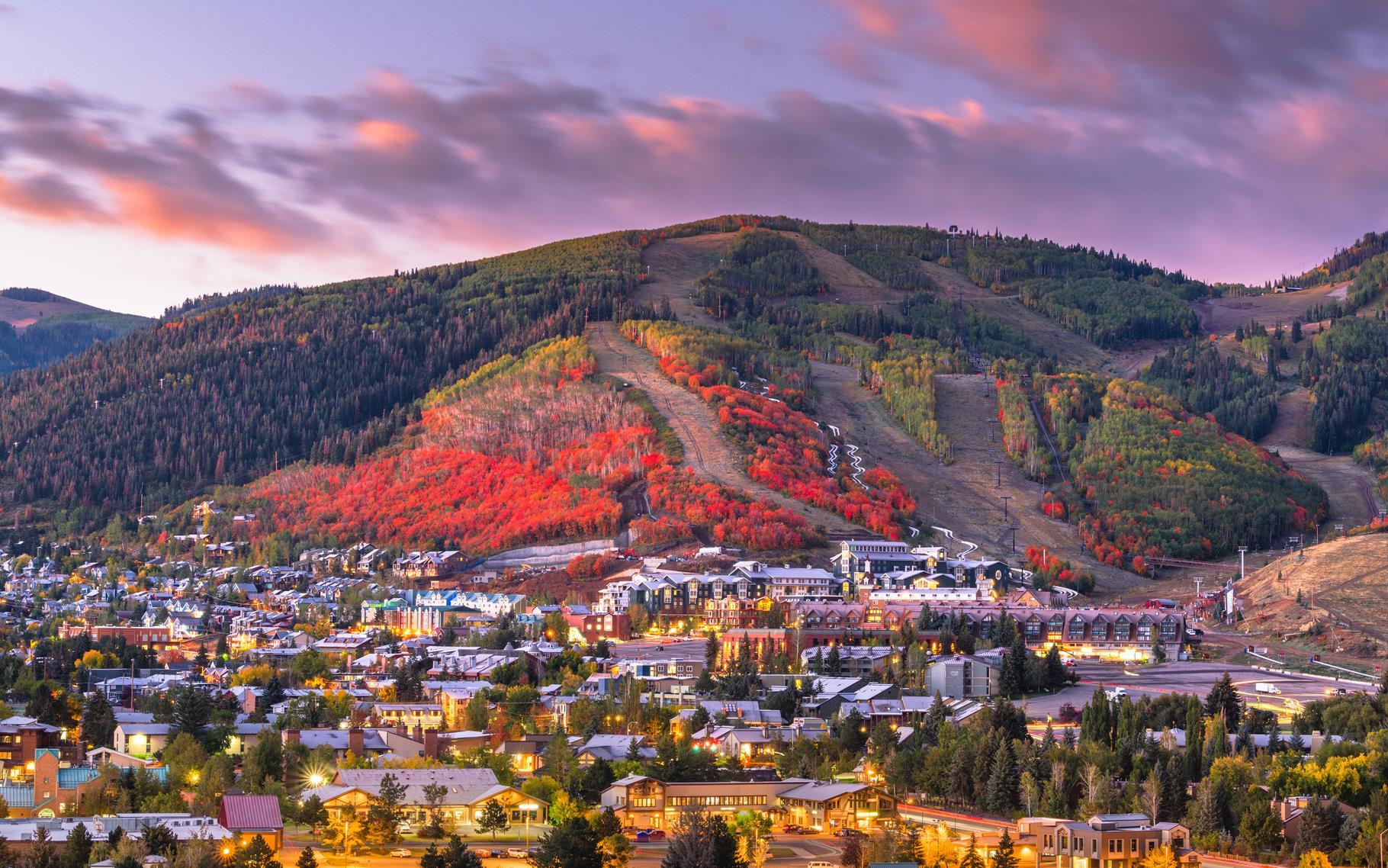 Great Value for Winter 2025/2026 image