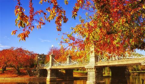 Jardín público y común de Boston