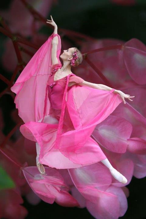 Dance Alive National Ballet