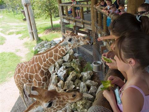 Le zoo et les jardins de Jacksonville