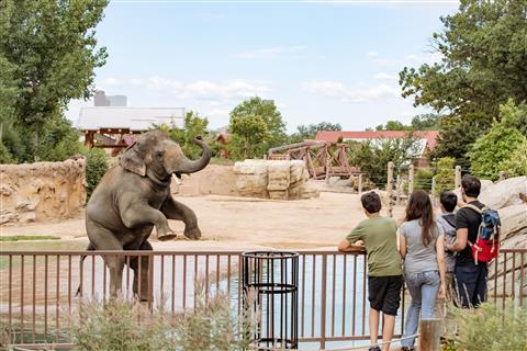 Denver Zoo
