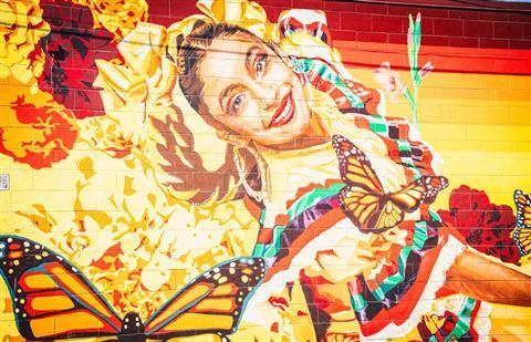 Explore Sacramento's Neighborhoods