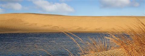 Jockey’s Ridge State Park