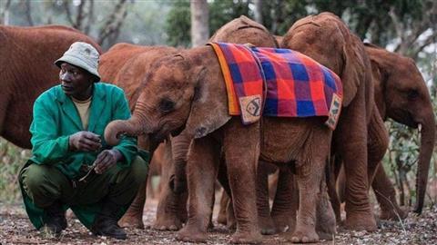 Sheldrick Wildlife Trust