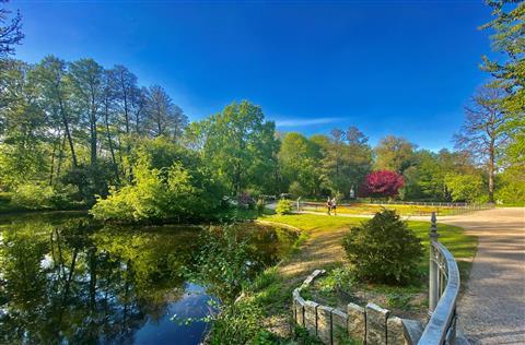 Tiergarten / City Park