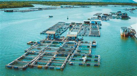 หมู่บ้านลองสัน ราฟท์