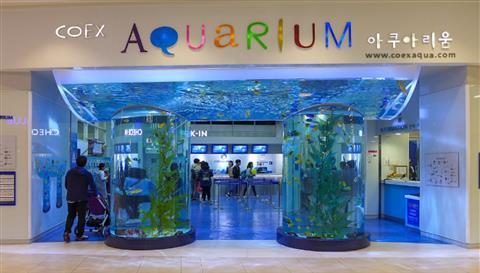 COEX 水族館