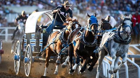 Calgary Stampede