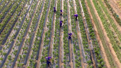 The Leela Ambience Gurugram Hotel & Residences à Gurugram, IN