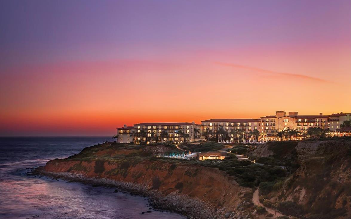 2025 Fall Offer 图像