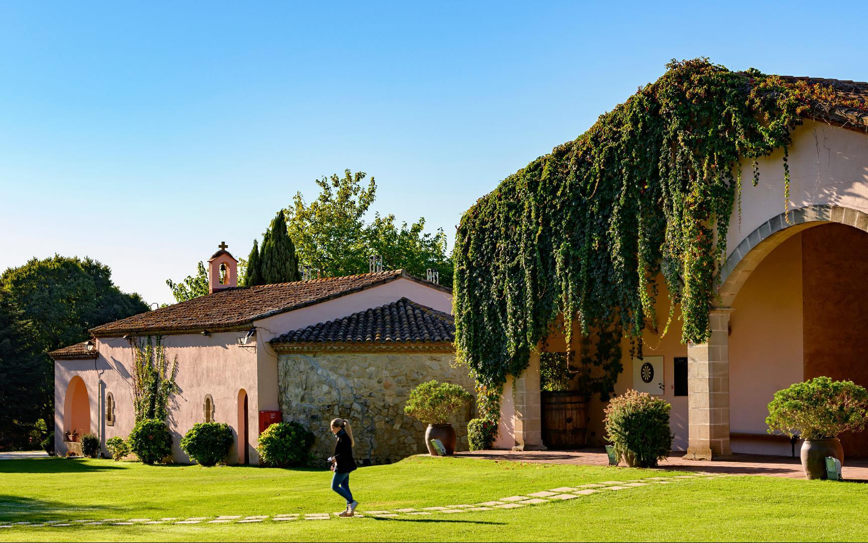 Изображение MAY TEAM BOOST – Special Offer