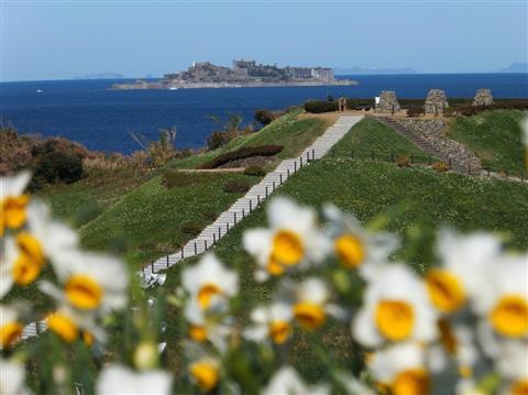 Nomozaki Daffodil Festival